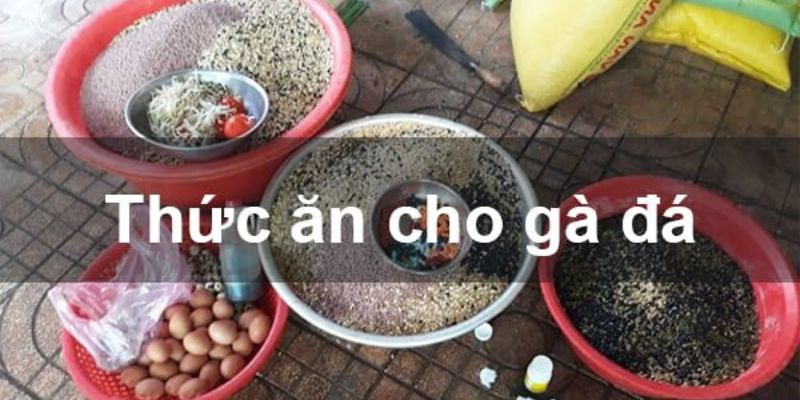 Cách chăm gà về chế độ dinh dưỡng